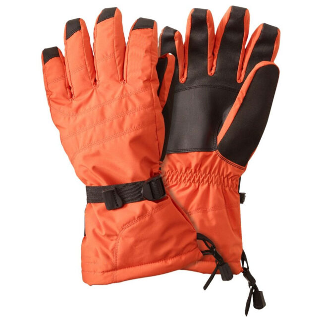 SKI Gloves